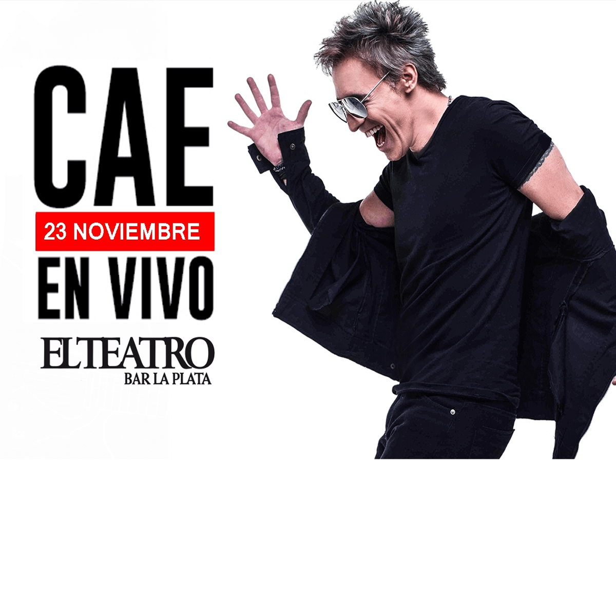 cae-feed